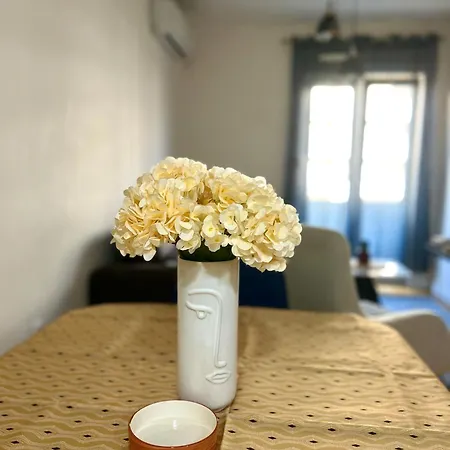 Apartment Elegant In Point *