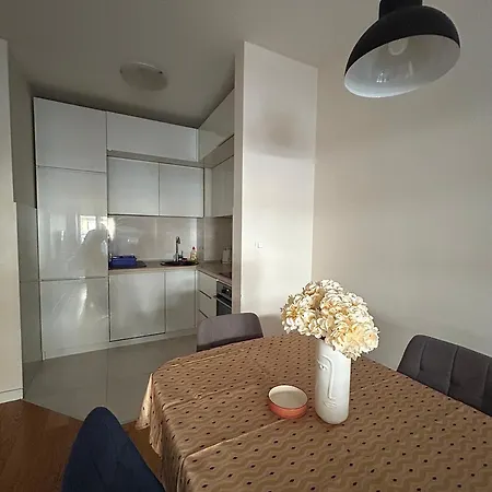 Elegant In Point דירה פודגוריצה